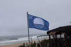 Praia da Reserva é reconhecida como exemplo de sucesso em preservação e qualidade ambiental