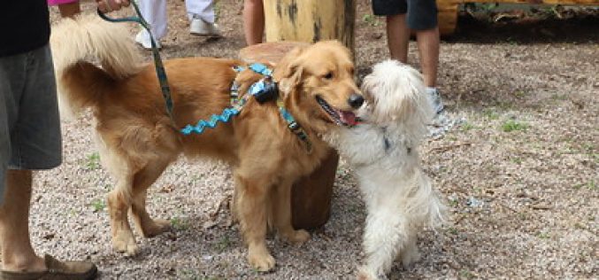 Prefeitura do Rio inaugura novo parque urbano na Barra da Tijuca incluindo o primeiro PARCÃO do Jardim Oceânico