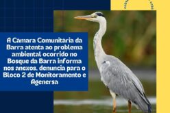 A Câmara Comunitária da Barra está atenta aos problemas ambientais no Bosque da Barra